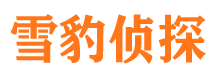 高县捉小三公司